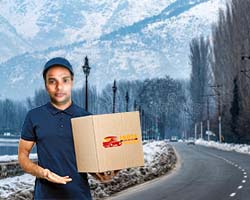 packers and movers Srinagar